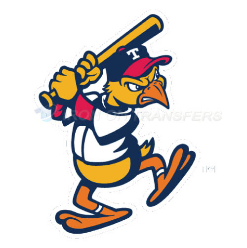 Toledo Mud Hens Iron-on Stickers (Heat Transfers)NO.8030